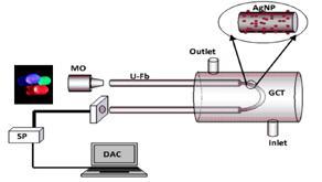 Evanescent field based plasmonic sensing platforms for healthcare applications