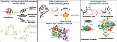 Chemical biology of nucleic acids targeting drugs and damaging agents