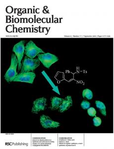 Anticancer activity of α -functionalised nitroalkenes