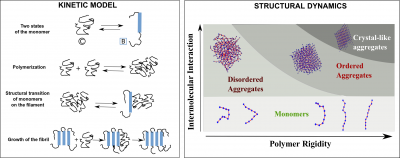 Theoretical modeling of protein self-assembly in biology