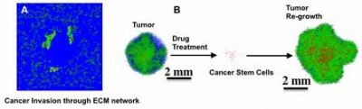 Biophysics of cancer