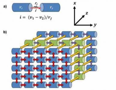 Bladder biophysics: Computational investigation of mechanisms underlying bladder physiology