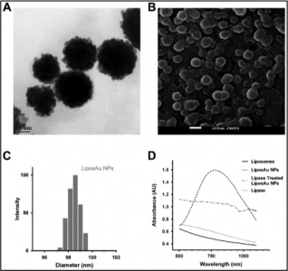 Biodegradable liposome gold nanoparticles as efficient agents for photothermal therapy of cancer