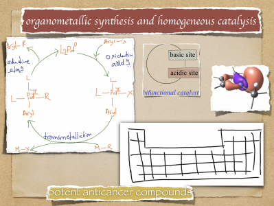 Designing molecular catalysts and potential metallo-pharmaceuticals using well defined transition metal complexes