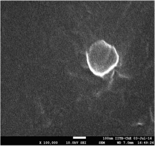 PCLGCIR820 composite nanoparticles as theranostic agents for cancer therapy