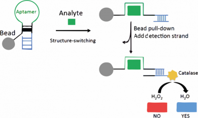 Development of a low-cost water monitoring kit for multiplex heavy metal detection based on aptamer sensors