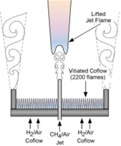 Numerical modeling of lifted flame