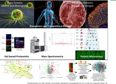 Proteomics for translational research:Focus on brain tumors and infectious diseases