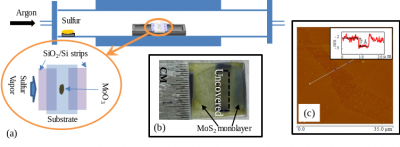 Growth of strictly monolayer large continuous MoS 2 films on diverse substrates