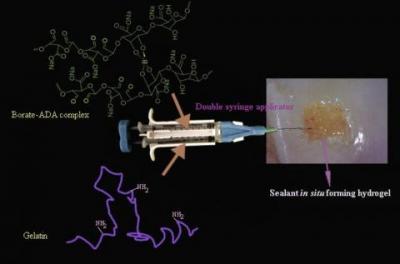 Injectables for Osteoarthritis