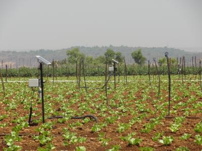 An affordable in-house developed system for precise irrigation