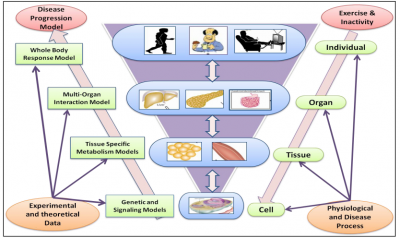 Understanding effect of lifestyle decisions on health and wellness