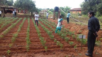 Manual pumps with drip kit: Hi-tech at the doorstep of marginal farmers