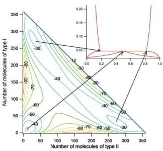 Molecular simulation study of phase equilibria of molecular fluids