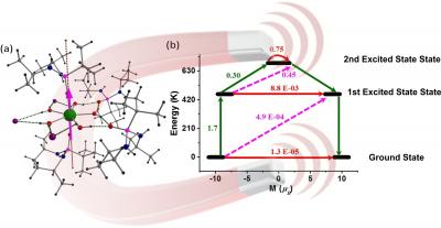 Molecular nanomagnets: An alternative to silicon-based technology