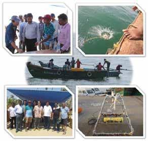 Nearshore dynamics: A unique five institute joint field measurement exercise along Pondicherry coastline