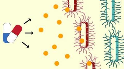 Combining Forces To Battle Tuberculosis