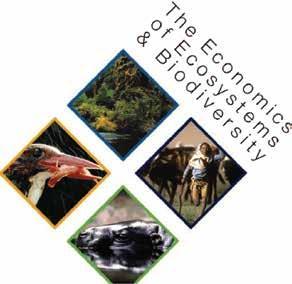 The Economics of Ecosystems and Biodiversity (TEEB)