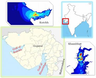 Tidal energy: Assessment of resources along Indian Gulfs