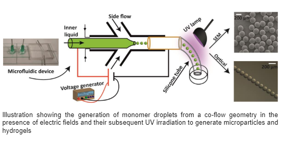 Microfluidics Based Generation of Photopolymerized Microparticles and Hydrogels