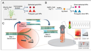 Plasmonic triangular gold and silver nanoparticles as tools for machine-free nucleic acid amplification assays