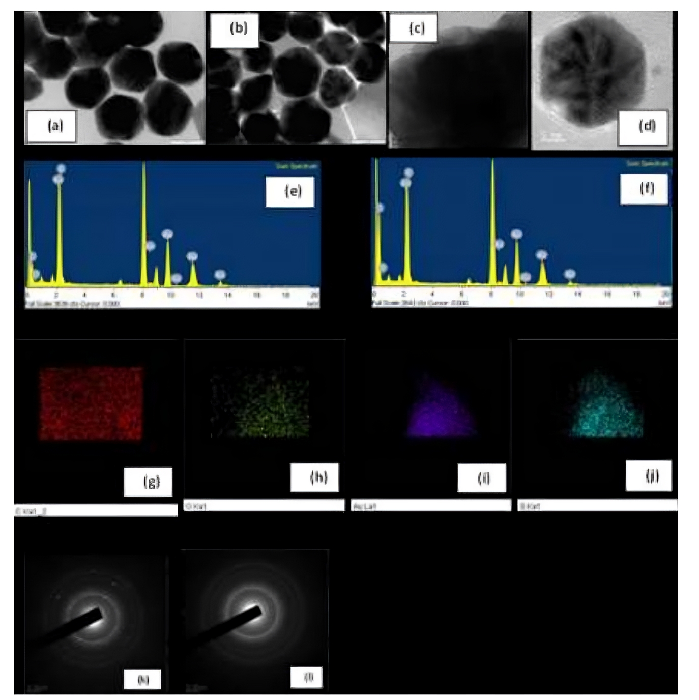 PPC Nanotorrid for Photothermal Therapy in Cancer