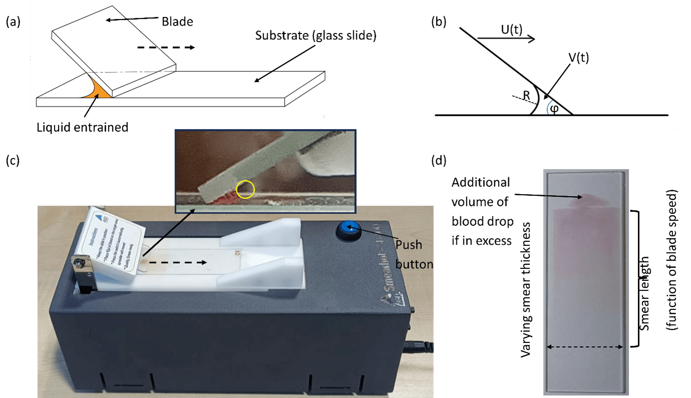  Compact Smear Device for Biological Samples