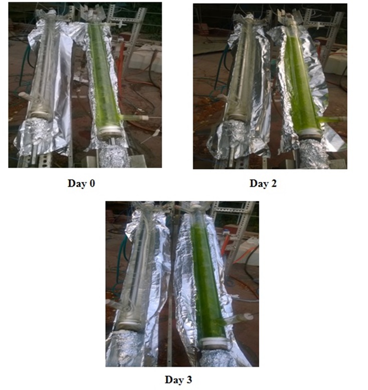 An Annular Photobioreactor for Indoor and Outdoor Applications