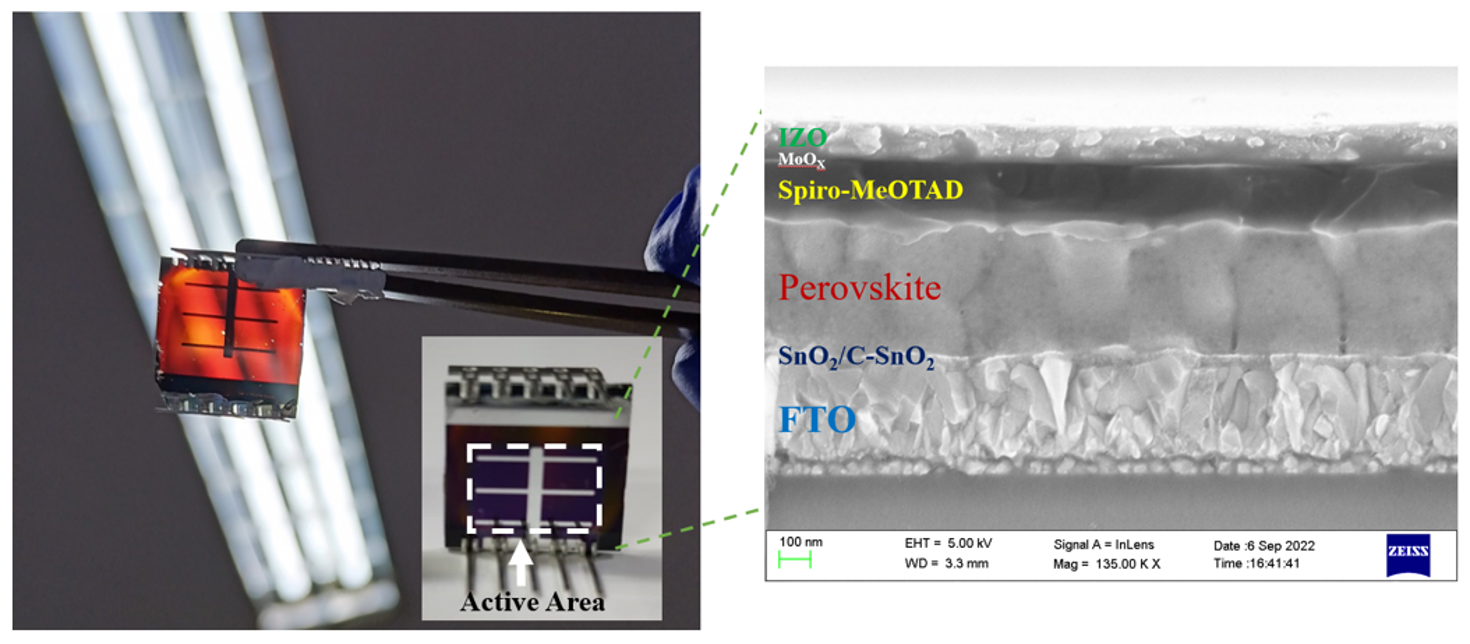 Process and methods for Transparent Organic and Perovskite bi-facial Optoelectronic Devices